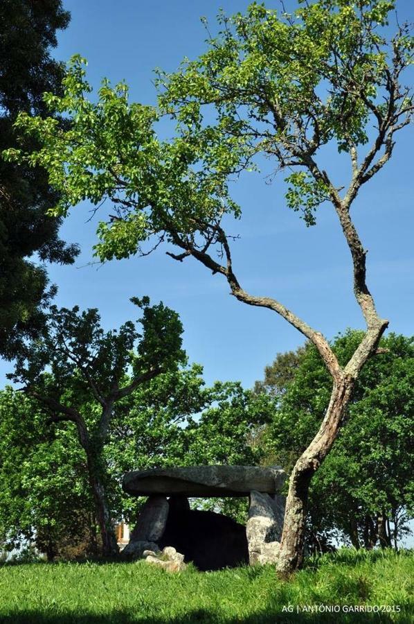 Angelas - Casa Da Galega Vila Praia de Âncora Exteriör bild